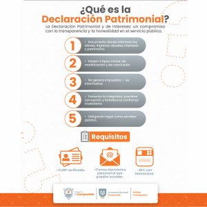 QueEsLaDeclaracionPatrimonial
