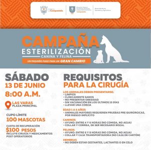 campaniaEsterelizacion
