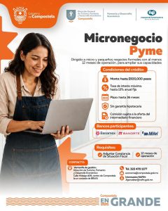 MicronegocioPIME