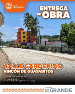 ObraGuayabitos